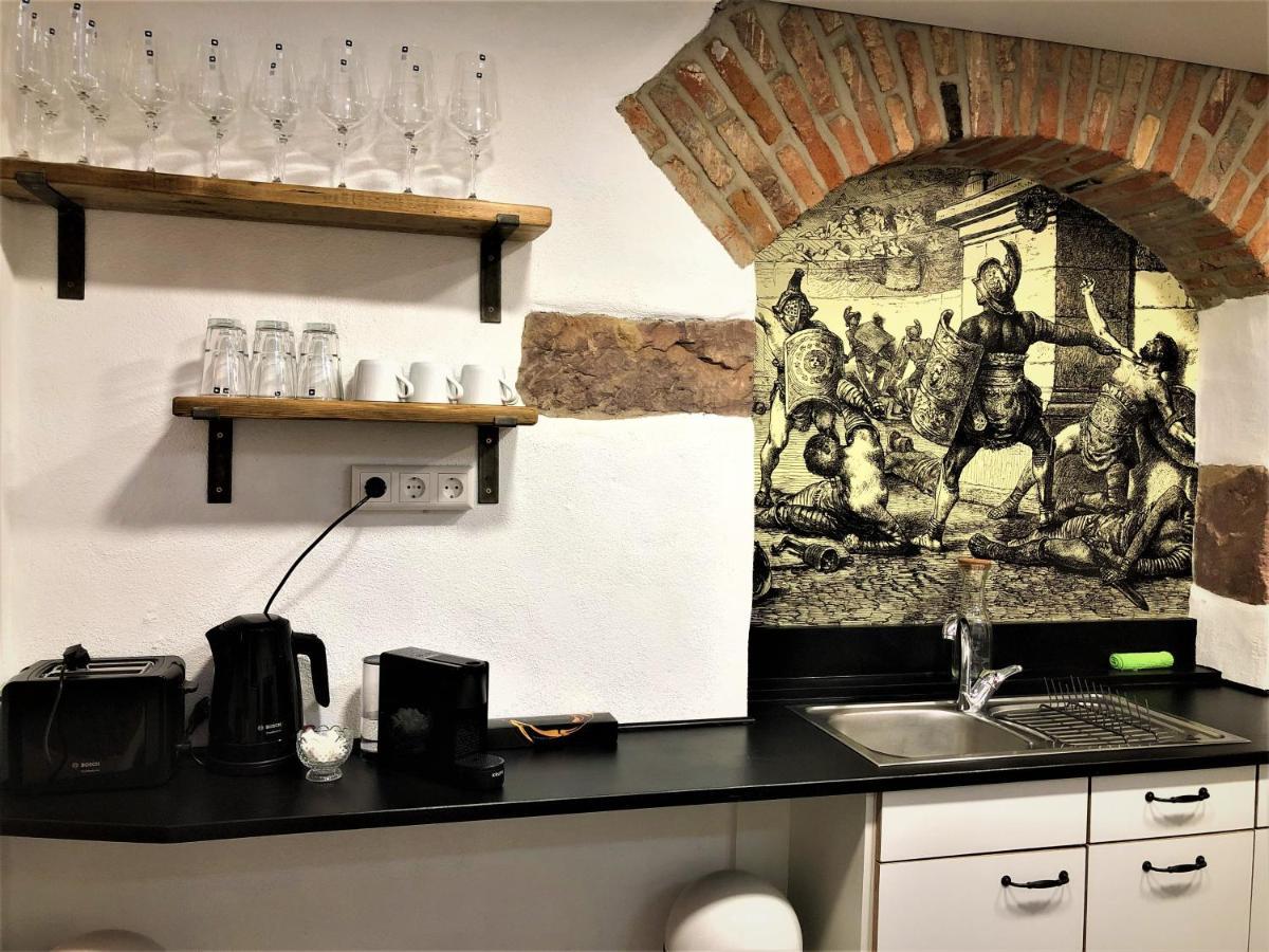 Luxus Apartment Colloseum In Der Stadt Friburgo de Brisgovia Exterior foto